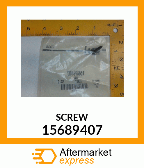 SCREW 15689407