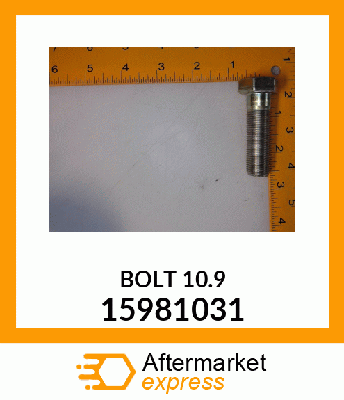 BOLT 15981031