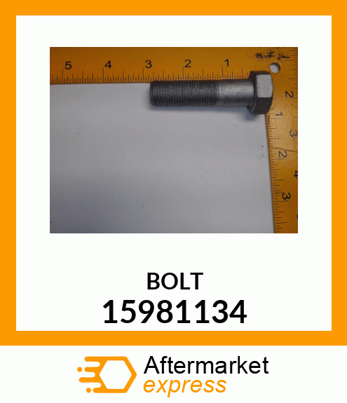 BOLT 15981134