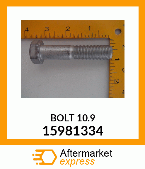 BOLT 15981334