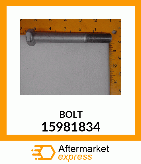 BOLT 15981834