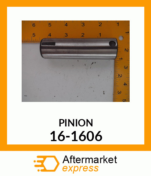 PINION 16-1606