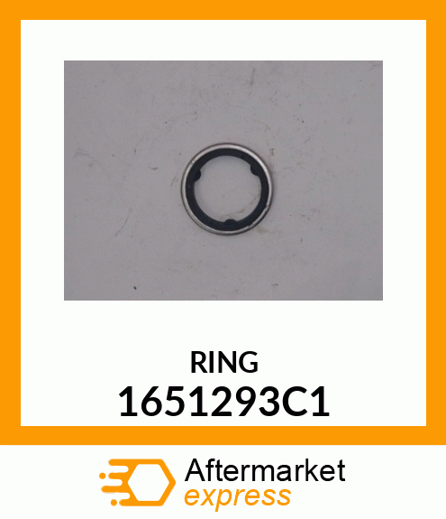 RING 1651293C1