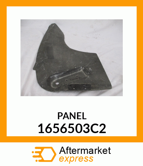 PANEL 1656503C2