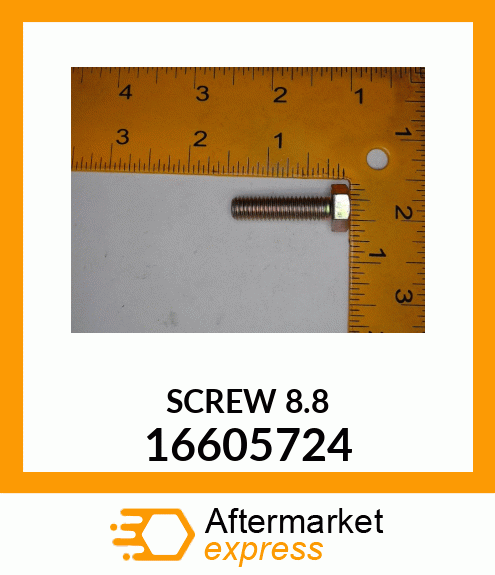 SCREW 16605724