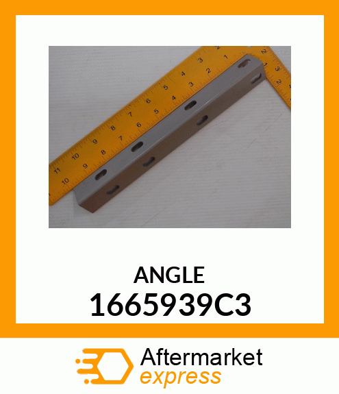 ANGLE 1665939C3