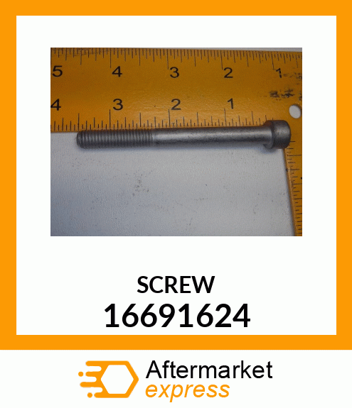 SCREW 16691624