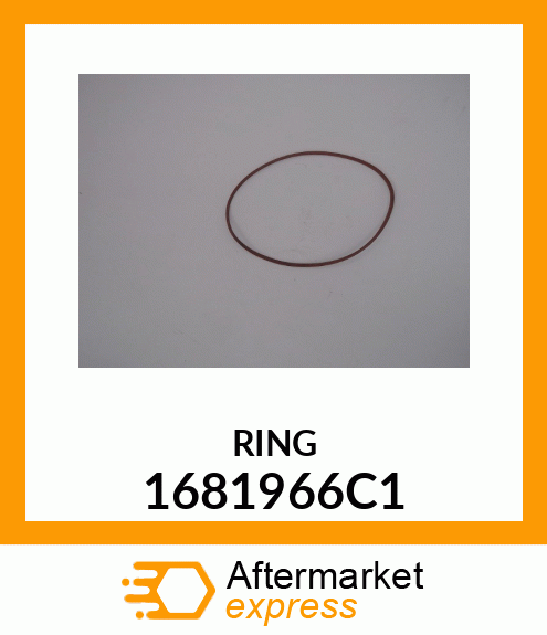 RING 1681966C1