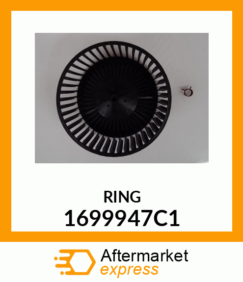 RING 1699947C1