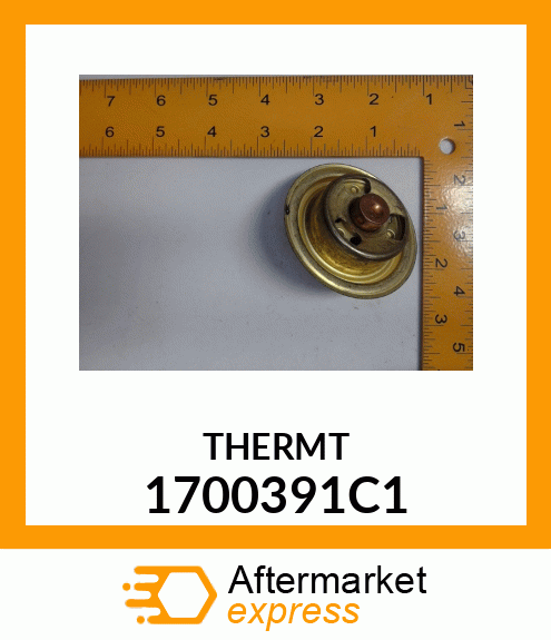 THERMT 1700391C1