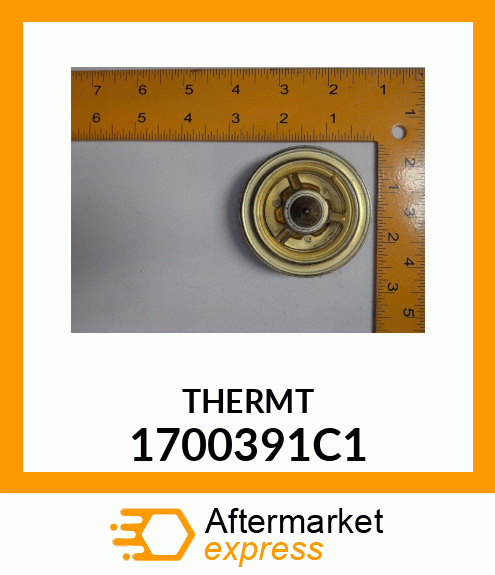 THERMT 1700391C1