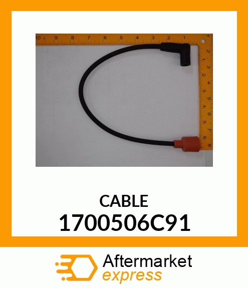 CABLE 1700506C91