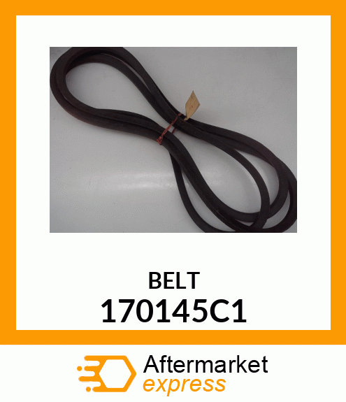 BELT 170145C1