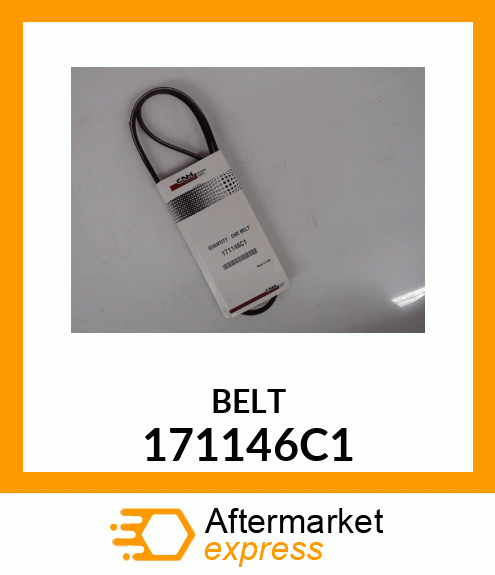 BELT 171146C1