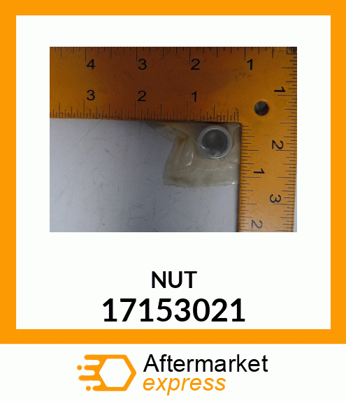 NUT 17153021