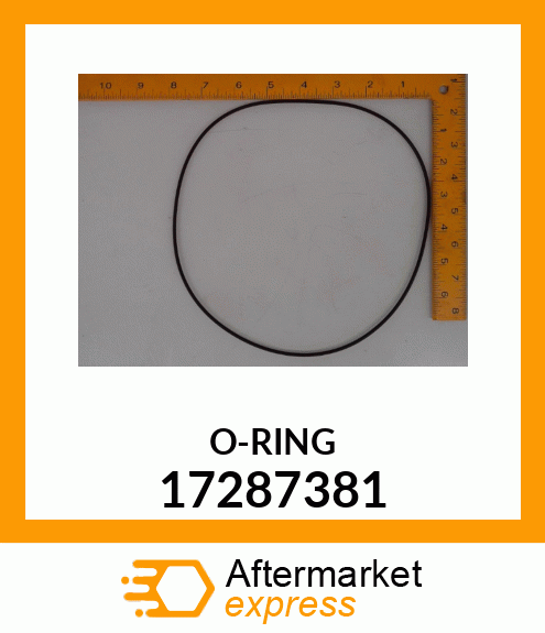 O-RING 17287381