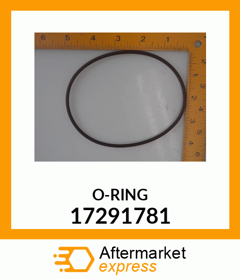 O-RING 17291781