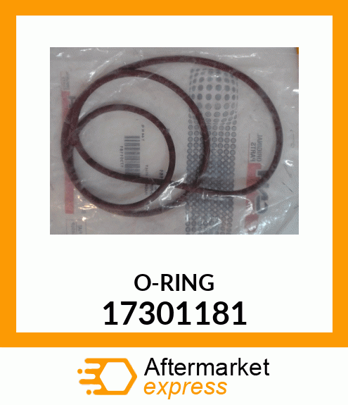 ORING 17301181