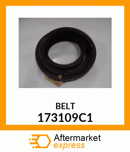 BELT 173109C1