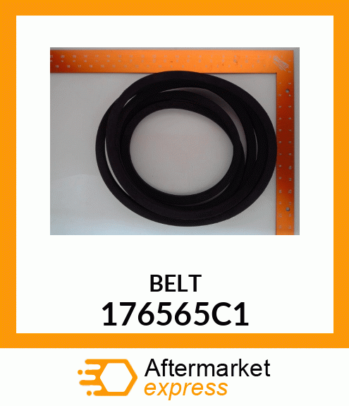 SINGLEBELT 176565C1