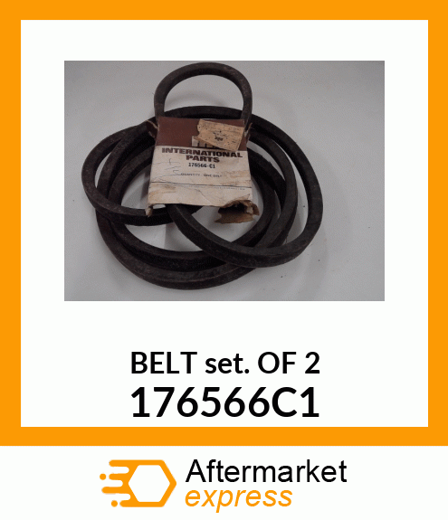 BELT_SET_OF_2 176566C1