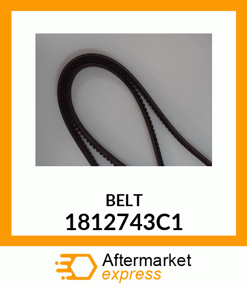 BELT 1812743C1