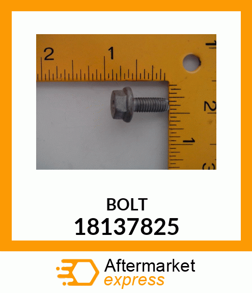 BOLT 18137825