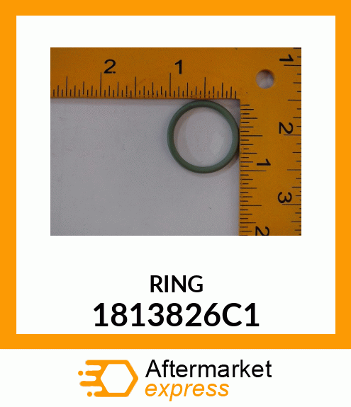 RING 1813826C1