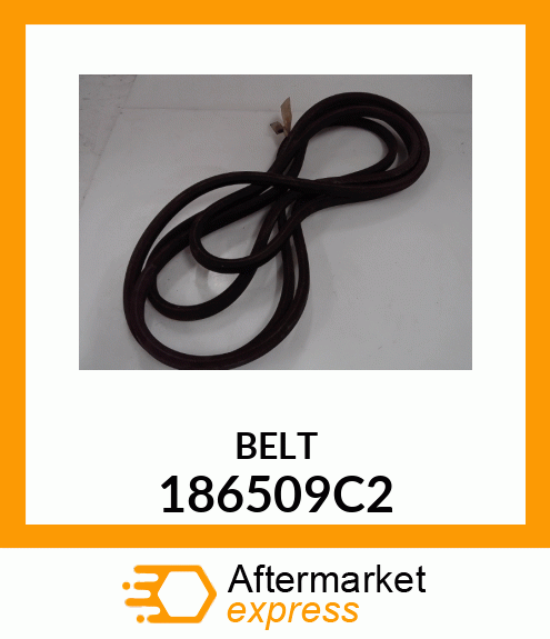 BELT 186509C2