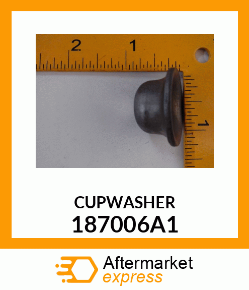 CUPWASHER 187006A1