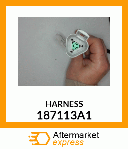 HARNESS 187113A1