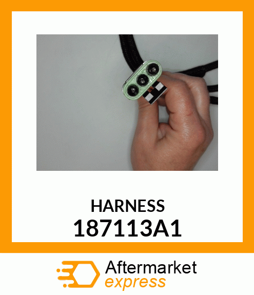 HARNESS 187113A1