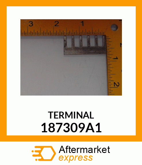 TERMINAL 187309A1