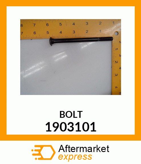 BOLT 1903101