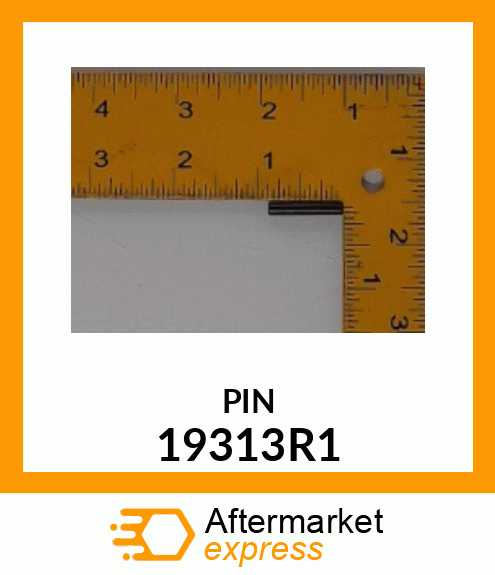 PIN 19313R1