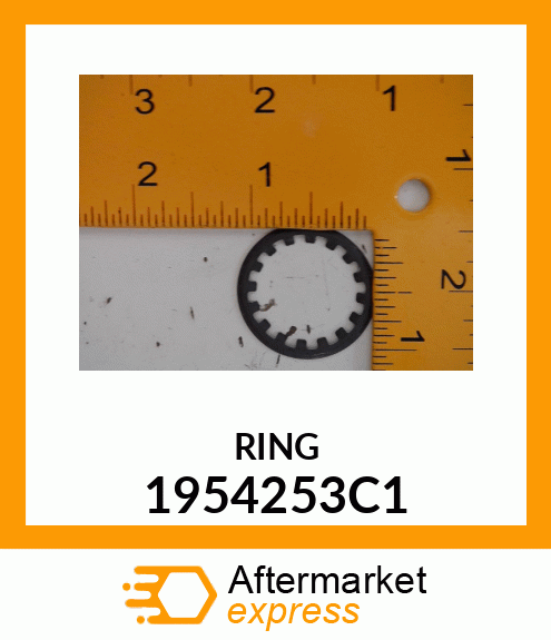 RING 1954253C1