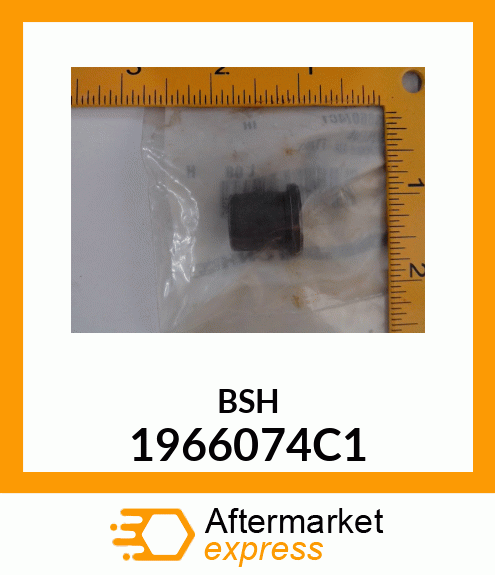 BSH 1966074C1