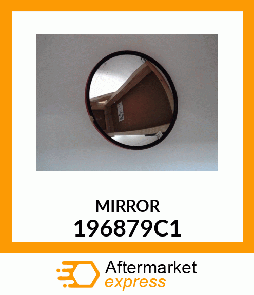 MIRROR 196879C1