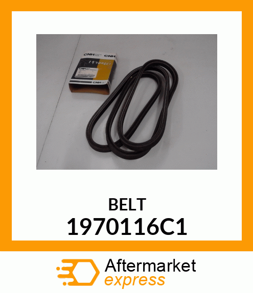 BELT 1970116C1