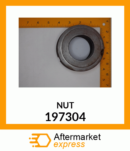 NUT 197304