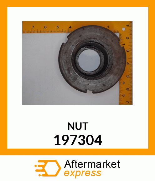 NUT 197304