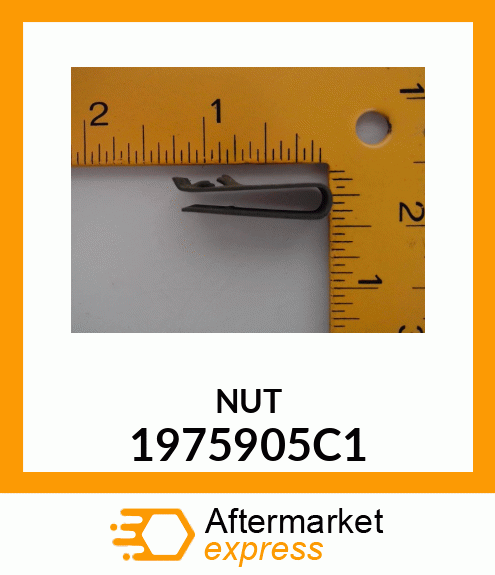 NUT 1975905C1