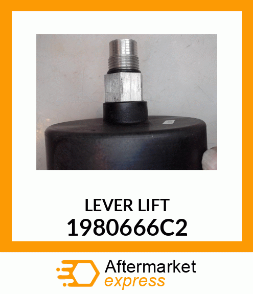 LEVER_LIFT 1980666C2