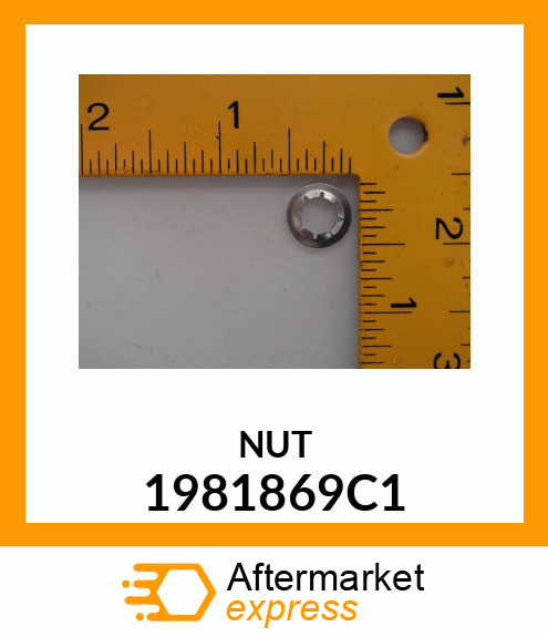 NUT 1981869C1