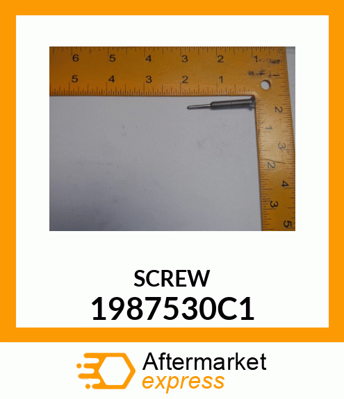 SCREW 1987530C1