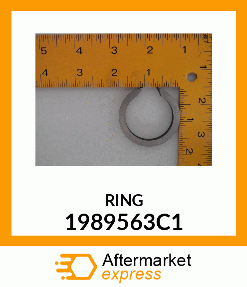 RING 1989563C1