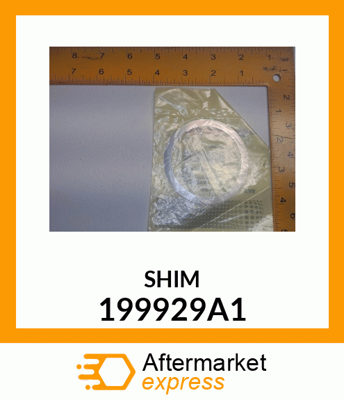 SHIM 199929A1