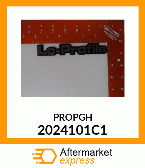 PROPGH 2024101C1