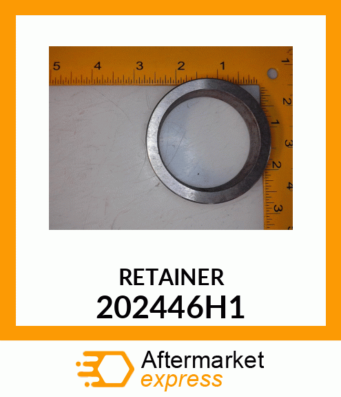 RETAINER 202446H1