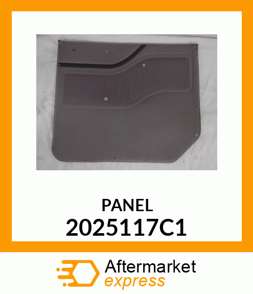 PANEL 2025117C1